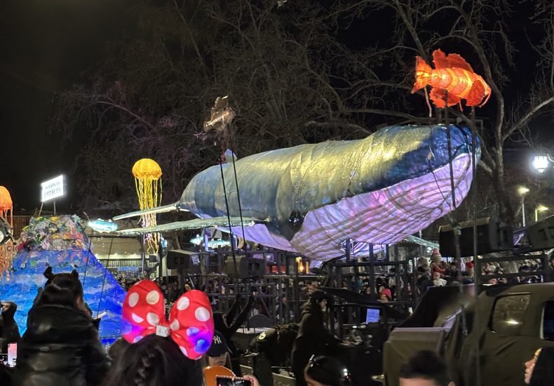 ballena horizontal frente 