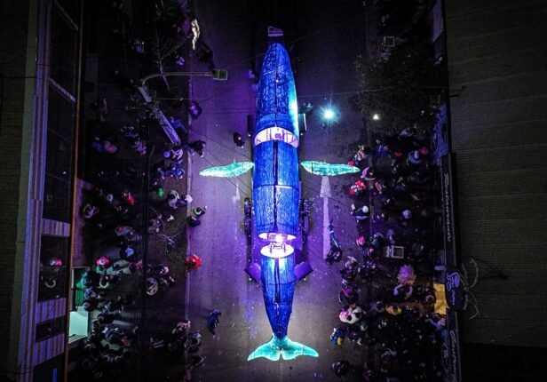 Océano Pasacalle llega a Valparaíso: una experiencia artística nocturna junto al mar