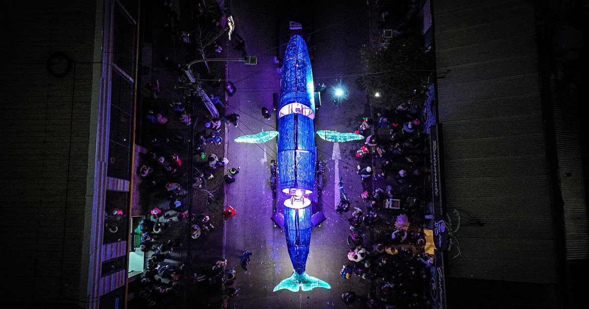 ballena en la calle