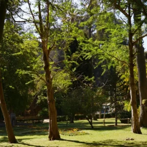 Jardines y Quebradas Quinta Vergara