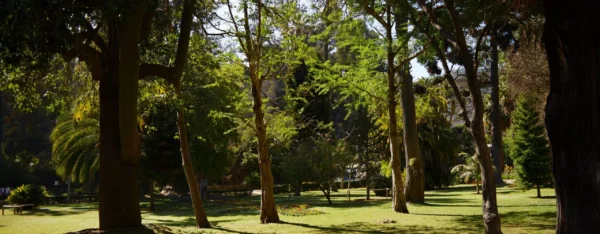 Jardines y Quebradas Quinta Vergara
