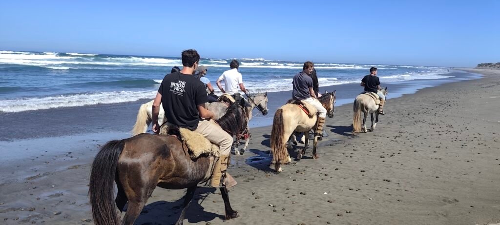 Cabalgata entre duna y mar