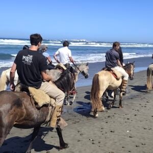 Cabalgata a caballo por la playa entre dunas y mar costero