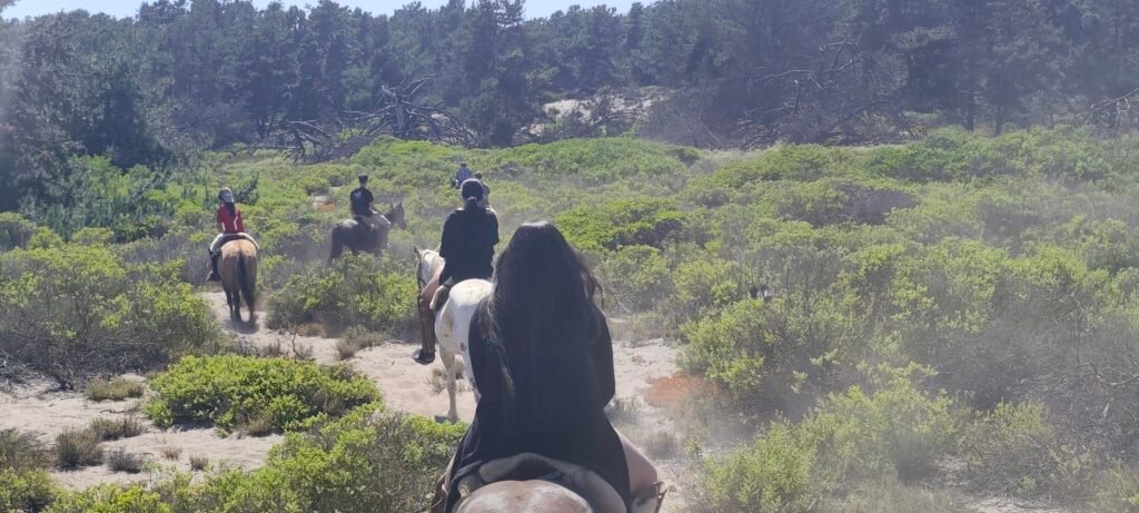 Cabalgata entre duna y mar