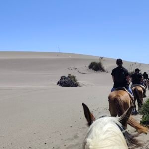 Cabalgata entre duna y mar