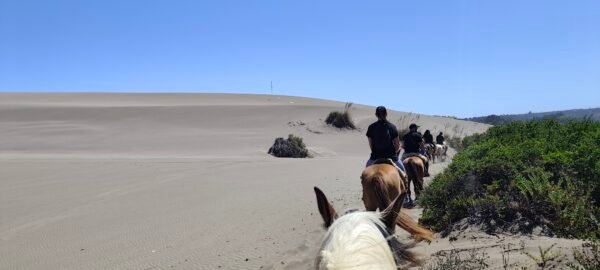 Cabalgata entre duna y mar