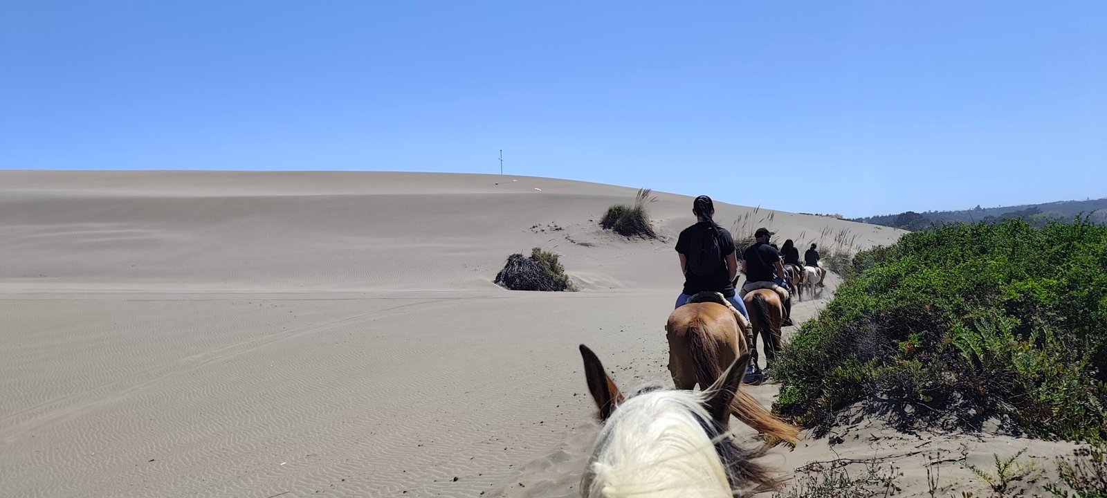 Cabalgata entre duna y mar