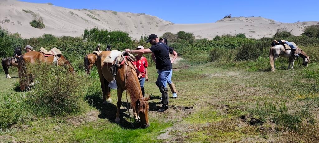 Cabalgata entre duna y mar