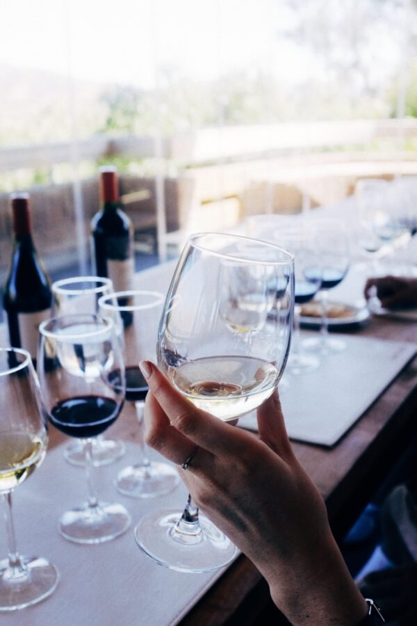 Tour degustación orgánico