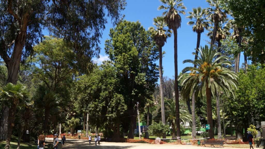 Jardines y Quebradas Quinta Vergara