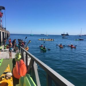 Navegando la Bahía