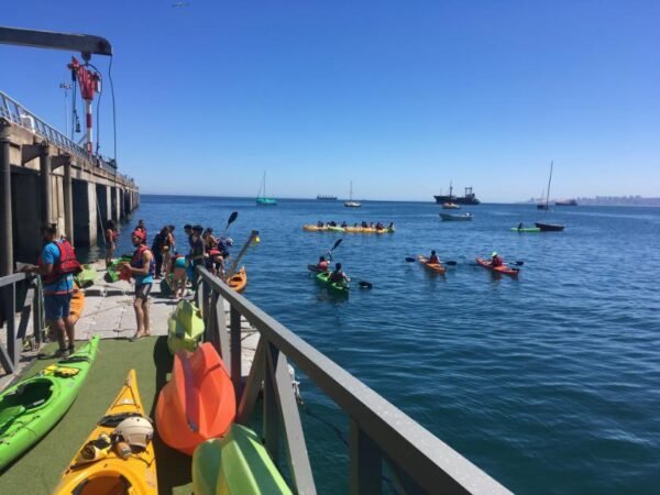 Navegando la Bahía