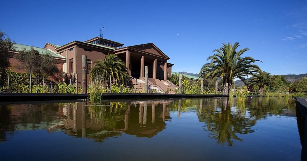 Tour Ícono orgánico