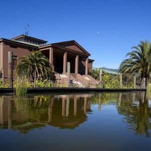 Vivienda de lujo con jardín y piscina natural, palmeras al sol
