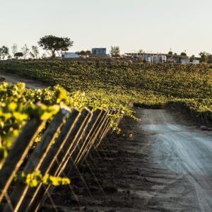 Degustación emporio