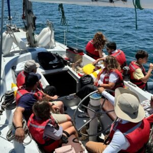 Navegación premium por la bahía