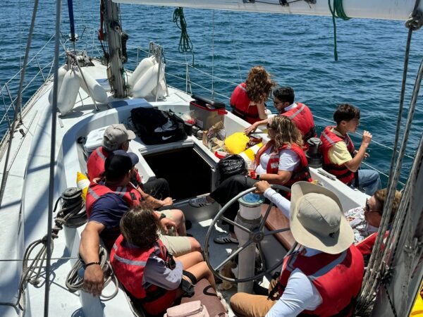 Navegación premium por la bahía