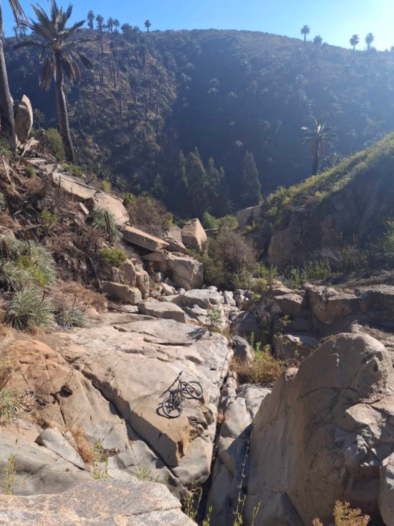 Palmar el Salto – Quebrada el Quiteño