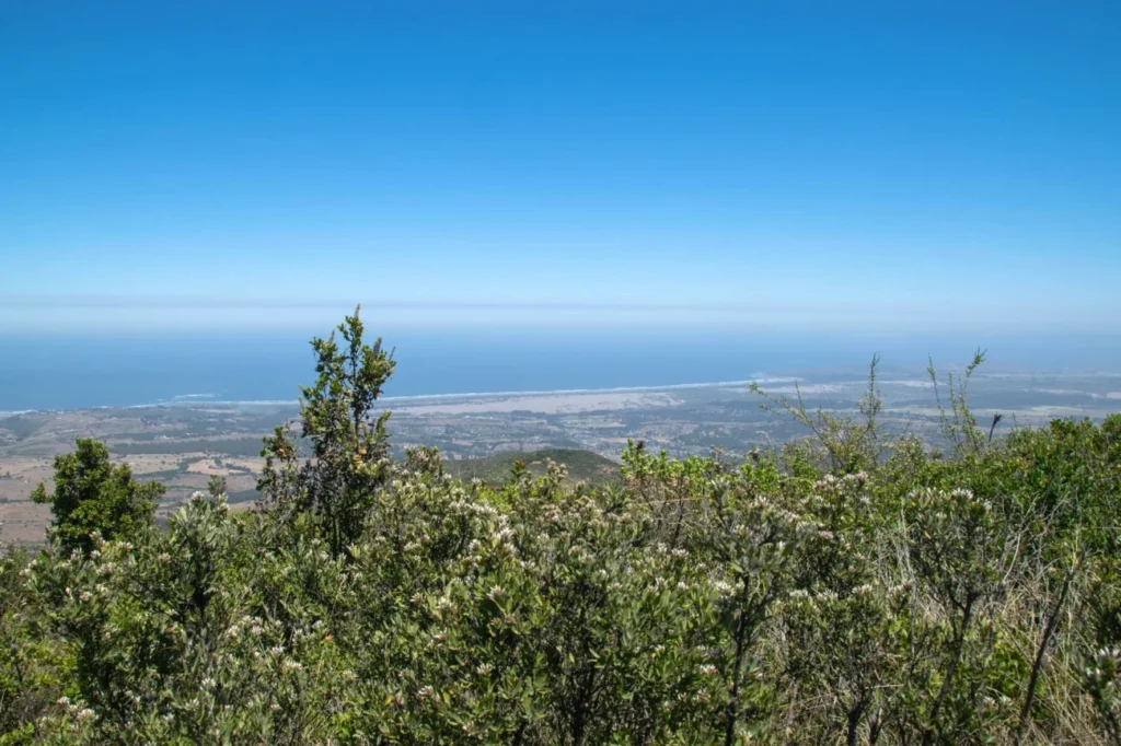 Cerro Mauco